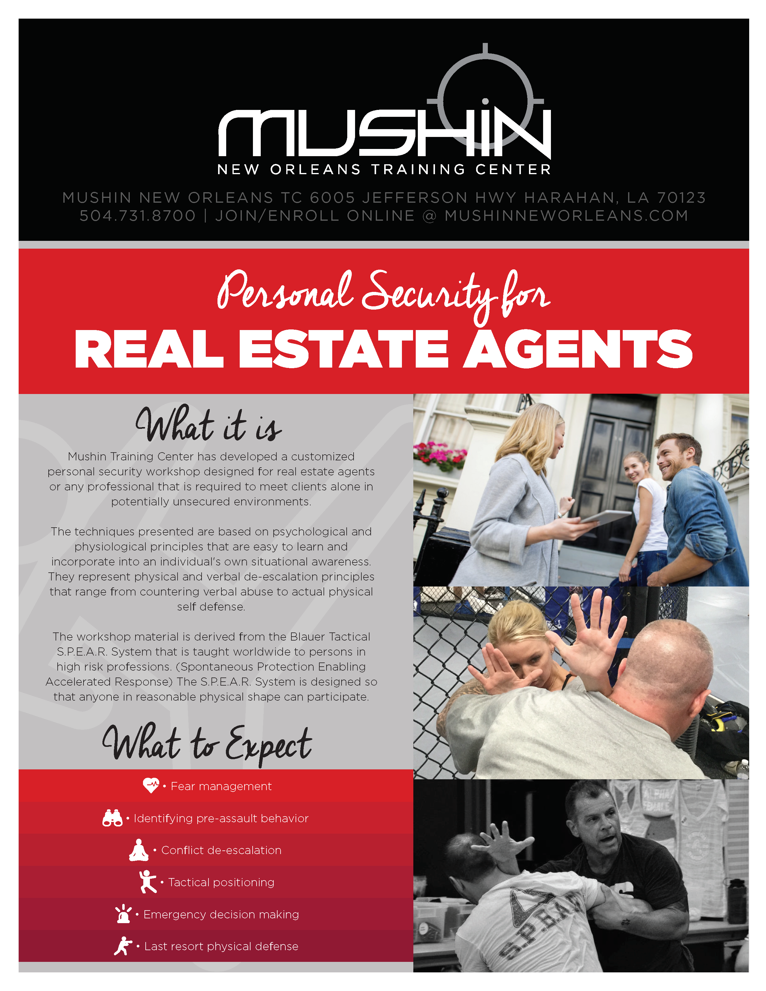 Mushin Flyer